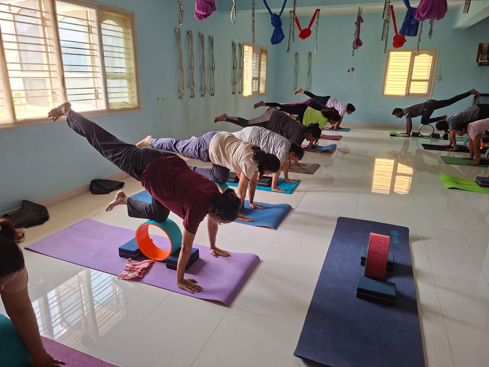 Students in a supported plank line with yoga wheels in the blue studio